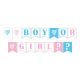 Banderín Gender Reveal Boy or Girl Corazón x 1 Unidad - Olego - a solo S/ 4.90. Encuentra inspiración, productos y servicios para tu celebración como cumpleaños en un solo lugar.